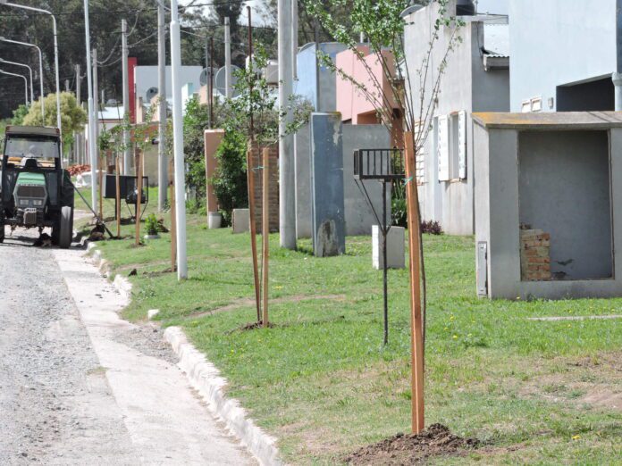 Plan Forestal del Bicentenario