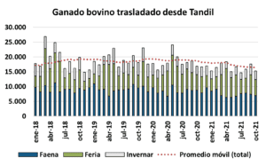 ganado bovino