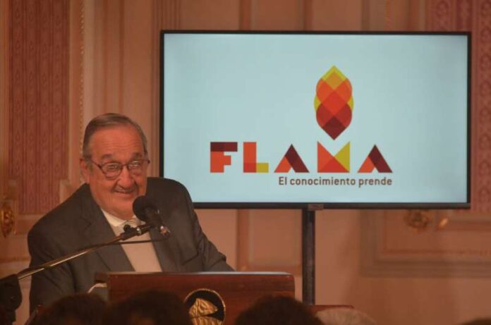 Flama