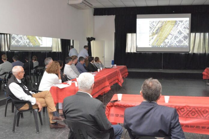 tren de cargas al puerto Quequén
