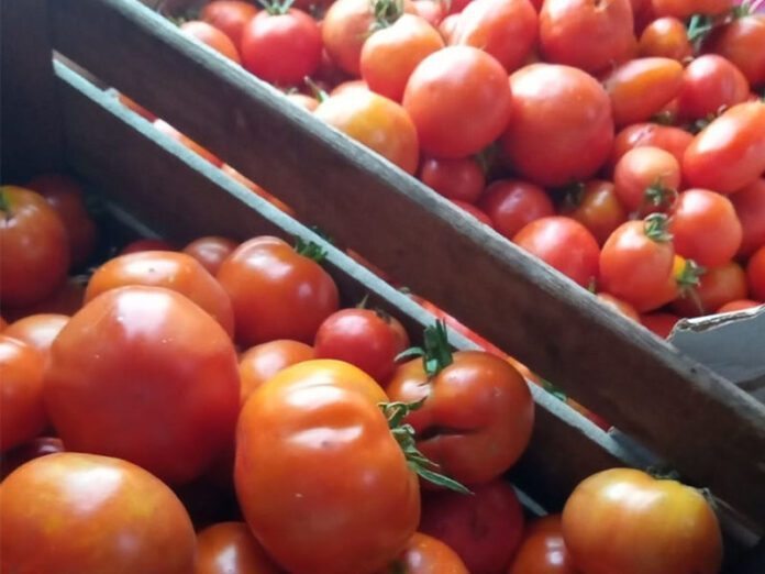 verduras agroecológicas