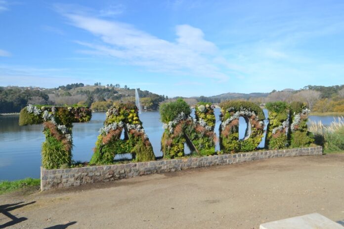 turismo receptivo en diciembre