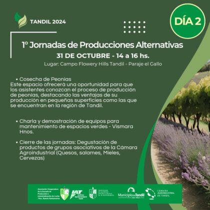 4 | Enfoque de Noticias Tandil